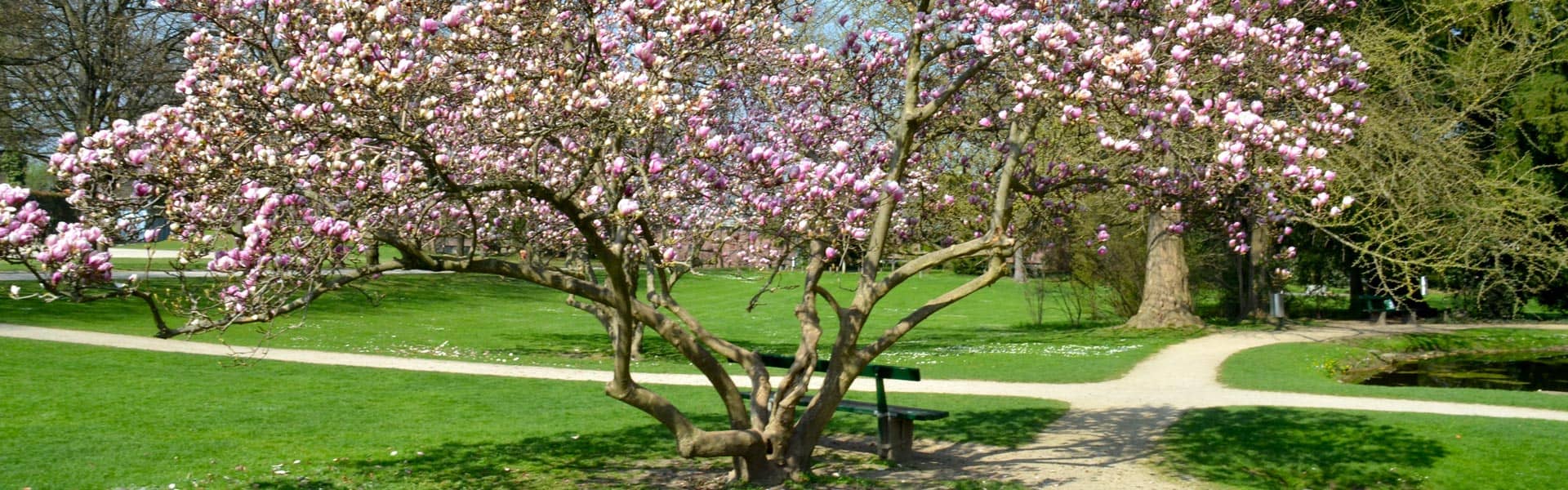 Botanischen Garten Der Universitat Basel Als Travel Tipp